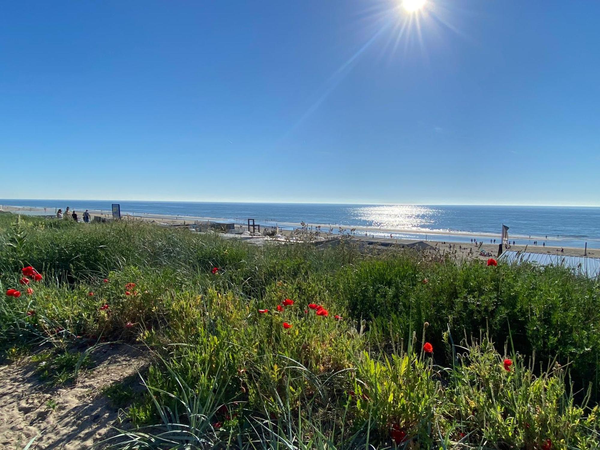 Maison Rue De La Mer Zandvoort Dış mekan fotoğraf