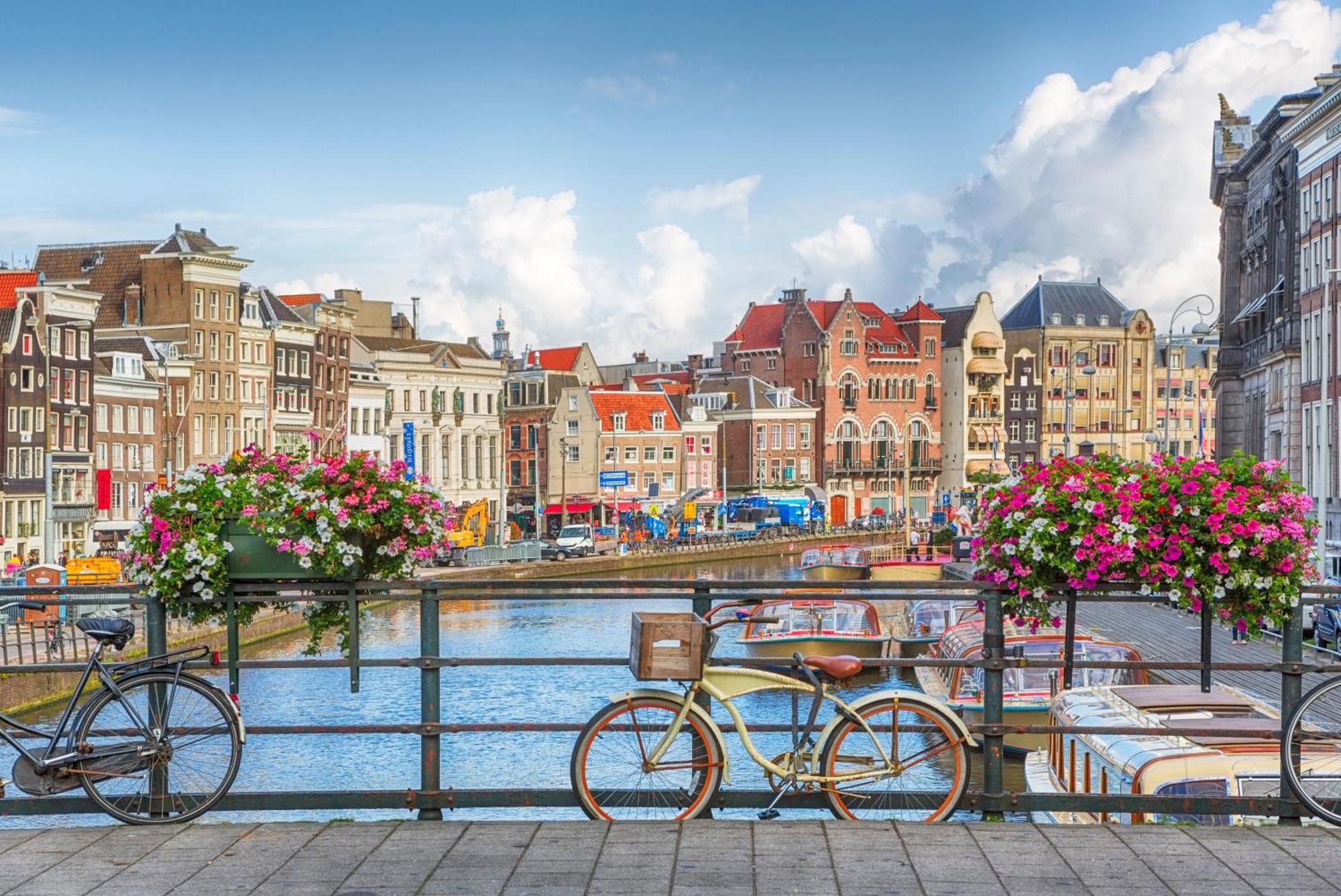 Maison Rue De La Mer Zandvoort Dış mekan fotoğraf